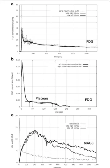 Fig. 2 Time-activity curves. a Typical FDG time-activity curves (TAC) of total left and right kidney and aortainput function (AIF)