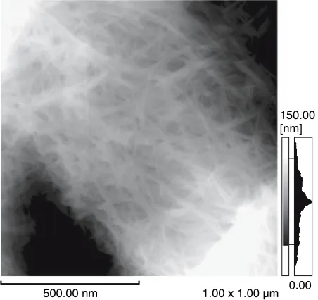 Fig. 2. Atomic force microscope (AFM) trace image of an air-dried(AD) pulp ﬁber surface in airFig