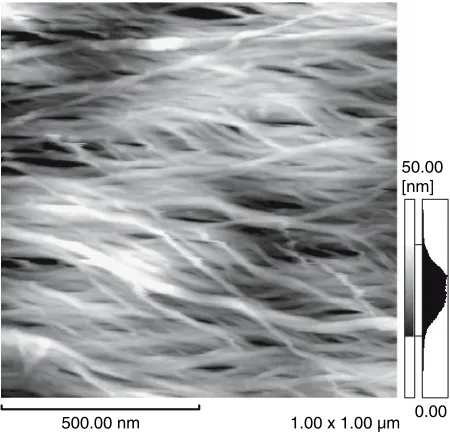 Fig. 7. AFM trace image of a CPD pulp ﬁber surface in air