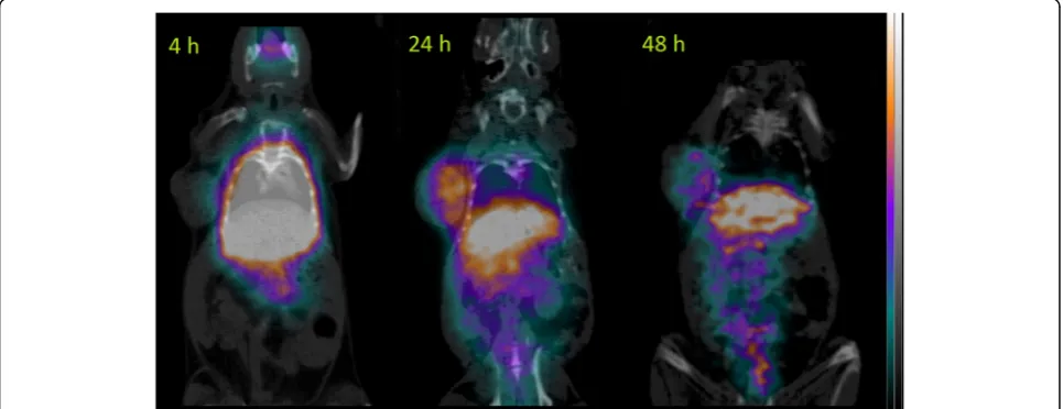 Fig. 3 MicroPET longitudinal imaging of 152Tb-CHX-DTPA-scFv78-Fc targeting TEM-1 in a mouse bearing a subcutaneous RD-ES tumor