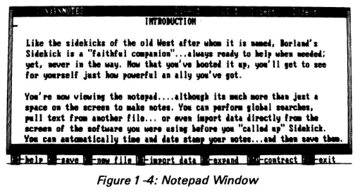Figure 1 -4: Notepad Window 
