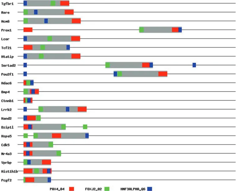 Figure 4. One example of the predicted recurrent motif modules.