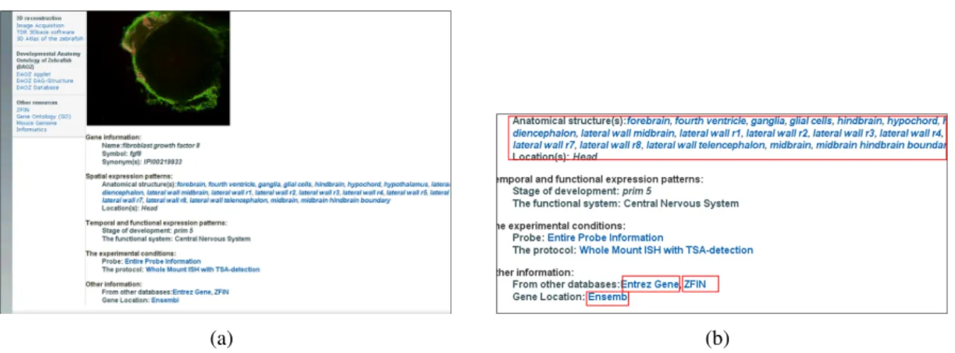 Figure 6: (a) The detailed view of a datasheet of a pattern of gene expression provides active links ((b) indicated with red boxes) for related information in ZFIN, Entrey Gene and Ensembl.