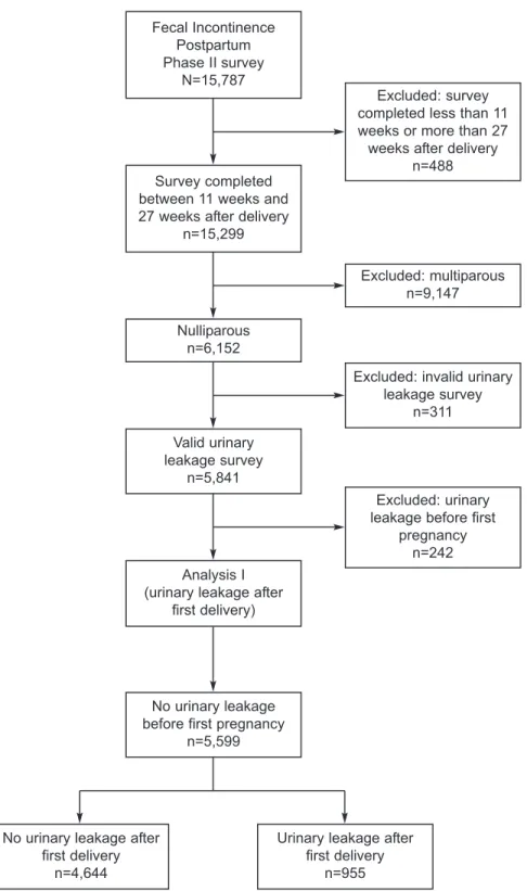 Fig. 1. Flow chart of analysis of urinary leakage after first delivery.