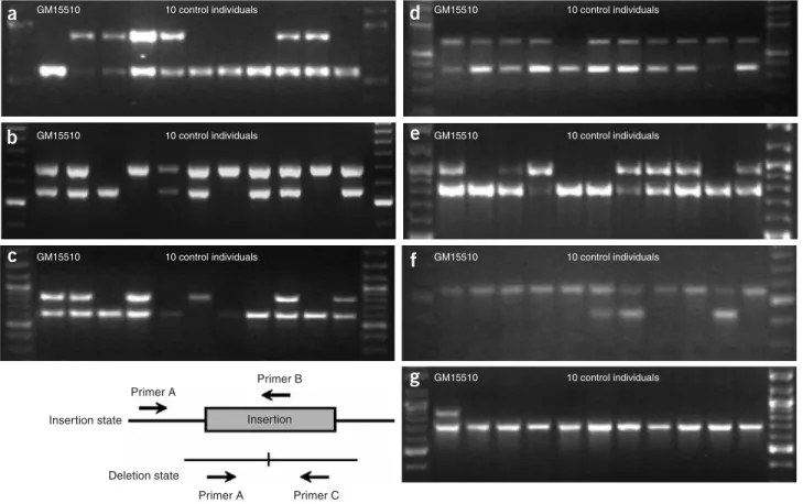 Figure 4 Genotyping analysis of structural variants. PCR validation and genotyping for seven insertion-deletion sites identified in fully sequenced fosmids, confirming (a) an 8.2-kb deletion in fosmid 3777M04, (b) a 13.3-kb deletion in fosmid 2588B13, (c) 