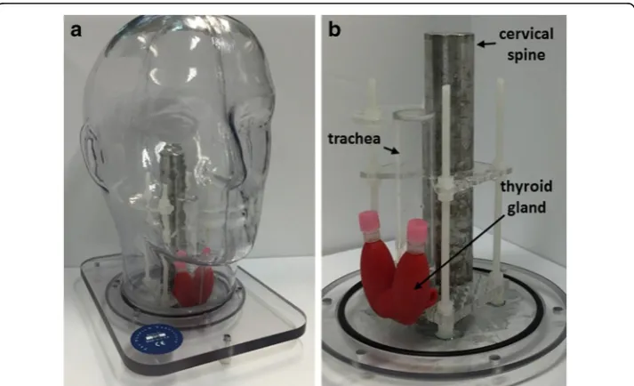 Fig. 1 a Photograph of the head and neck phantom. b The internal jig with the attached thyroid phantomfrom anterolateral view b