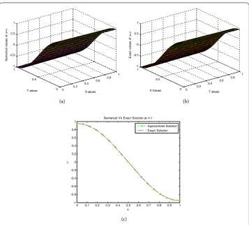 Table 17 Example 9: Maximum absolute errors at t = 1, k = 0.01