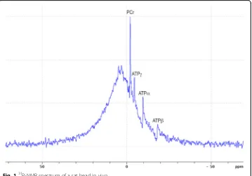 Fig. 1 31P-NMR spectrum of a rat head in vivo