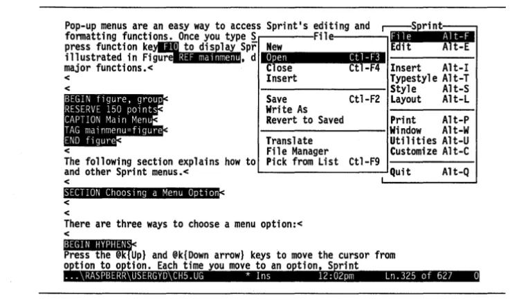 Figure 5.5: File Menu 
