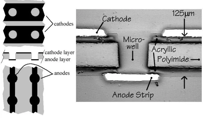 Figure 1. Micro-well detectors. Left: Copper cathode (top) and anode (bottom) traces for crossed-strip design
