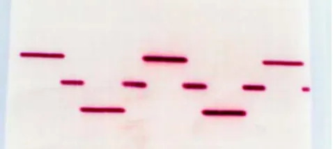 Fig 6(d) Three level output 