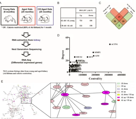Figure 1: Importance of MMP2 and A2M interaction during aging identified by RNA-Seq based on NGS data