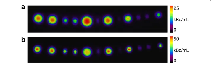 Fig. 1 The spheres in air (diameters in mm: 10, 10, 6, 6, 12, 4, 10, 3, 8, 4, 4, and 6) scanned on a Siemenssame reconstruction parameters including PSF)