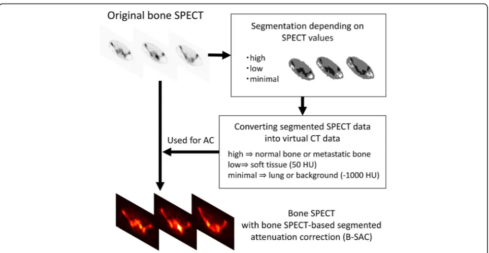 Fig. 2 Segmentation of bone SPECT data into high, low, andminimal uptake areas for attenuation correction