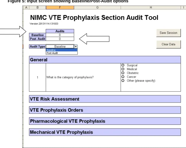 Figure 5: Input screen showing Baseline/Post-Audit options 