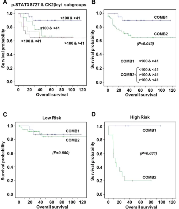 Figure 6: Kaplan-Meier estimates of 120-months overall survival according to combinations of p-STAT3 Ser727 and  CK2βcyt expression levels
