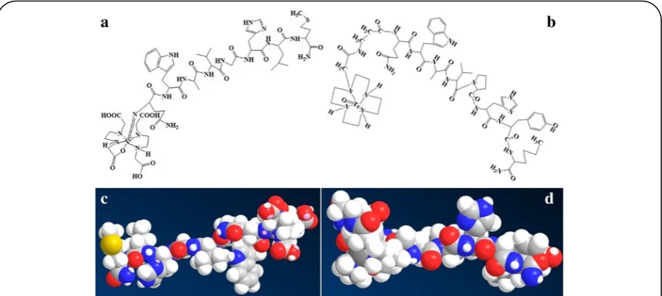 Fig. 1 Chemical structure and MALDI mass spectra of new bombesin peptide DOMA-GABA-[Pro5-D-Tyr13Nle14]BN(7-14)NH2 (BN4)