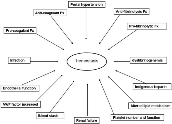 Fig. 1. Multiple interacting and often opposing variables converge to produce net hemostasis in the patient with liver disease.