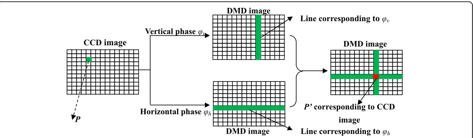 Fig. 2 One-to-one mapping between the CCD image and the DMD image