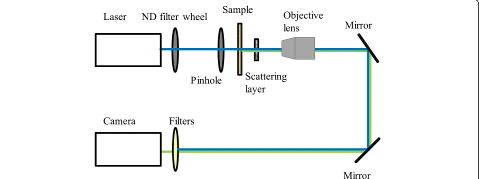 Fig. 1 The experimental setup. ND filter: neutral density filter. The blue line represents the excitation light; the green line represents the fluorescenceemission