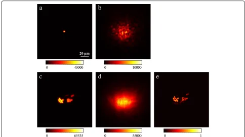 Fig. 2 a The image of a single fluorescent bead used as guide star. b The same scene as in (a) scrambled by the scattering layer indicating the PSF of thesystem