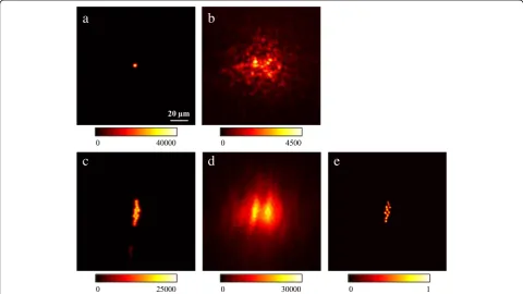Fig. 3 Another data set acquired with a plastic bag as turbid medium placed 5 mm in front of the fluorescent sample.fluorescent scene.fluorescent bead used as guide star.seen in ( a The image of a single b The same scene as in (a) scrambled by the scatteri