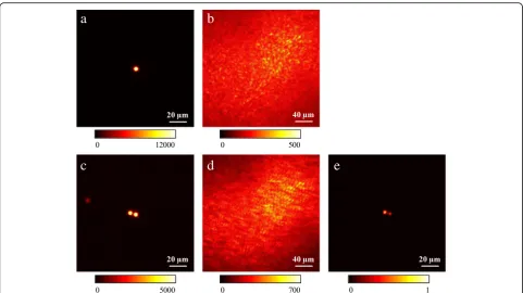 Fig. 4 A data set acquired with a dry chicken tissue with a thickness of about 100 μm, taking the role of turbid medium, and placed 1 mm infront of the fluorescent sample