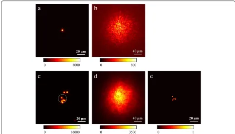Fig. 5 A data set acquired with a chicken tissue with a thickness of about 300 μm as turbid medium placed 1 mm in front of the fluorescentsample