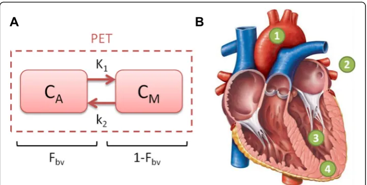 Fig. 2 aindicating the points of reference as described in Eqns. 1 Schematic diagram of the 1 compartment 3 parameter tracer kinetic model