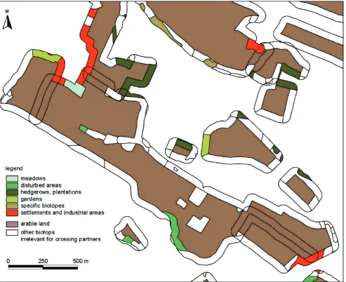 Fig. 1 Section of biotope map (North Brandenburg) showing buffering strip results