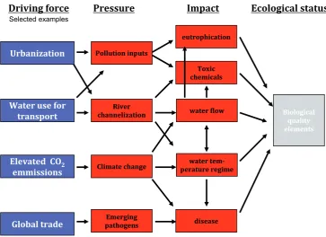 Fig. 2 DP(S)IR (Driving force – Pressure – State – Impact – Response) concept graph on multiple stress; in this schematised presentation, the S component was merged into P