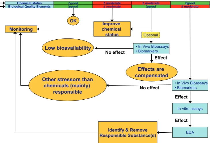 Fig. 3 Schematic overview of the tiered assessment approach