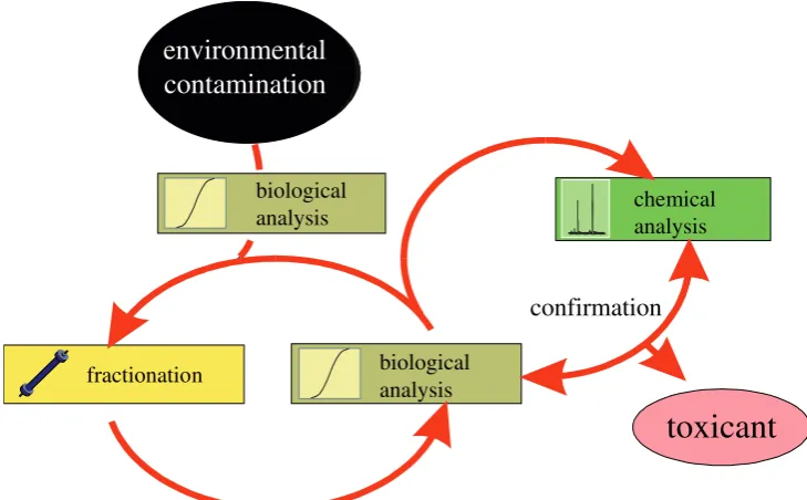 Fig. 4  EDA scheme (modified 