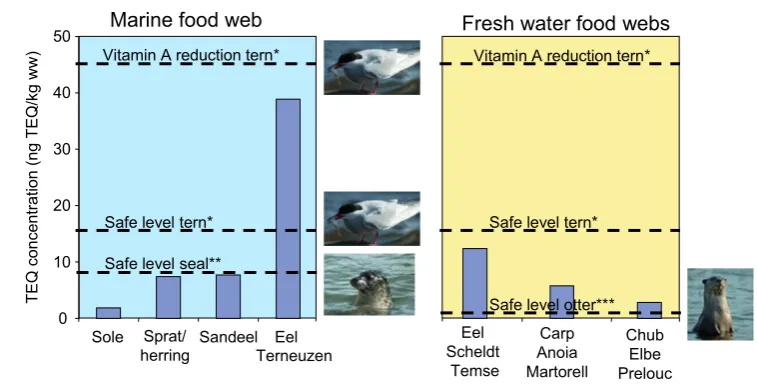 Fig. 5 Dioxin-like compounds fish from a marine (Western (PCDDs, PCDFs, PCBs) in Scheldt) and fresh water food webs (Scheldt, Anoia, Elbe) in relation to safe and critical body burden concentrations for tern, harbour seal and otter 