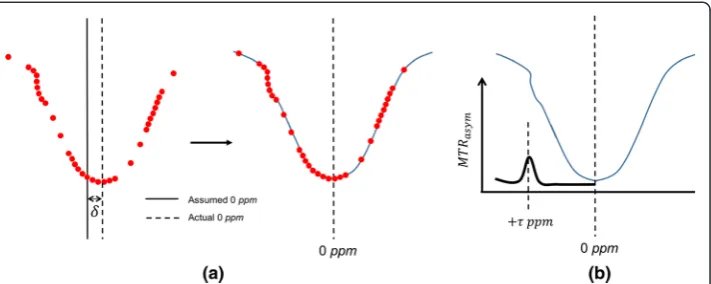 Fig. 2 a B0 inhomogeneity causes the entire z-spectrum to be shifted, causing a mismatch between theassumed and actual 0 ppm position