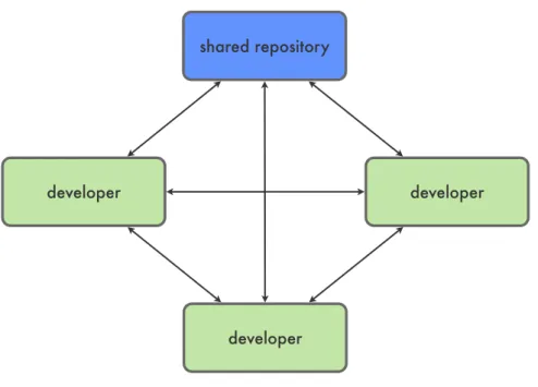 Figure 2.2: A distributed version control setup.
