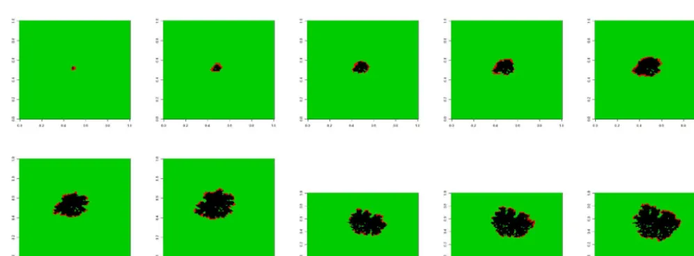 Figure 1. A sequence of burn patterns on a sheet of wax paper observed at times of 1, 6, 11, 16, 21, 26, 31, 36, 41, and 46 s for the thirdmicroﬁre