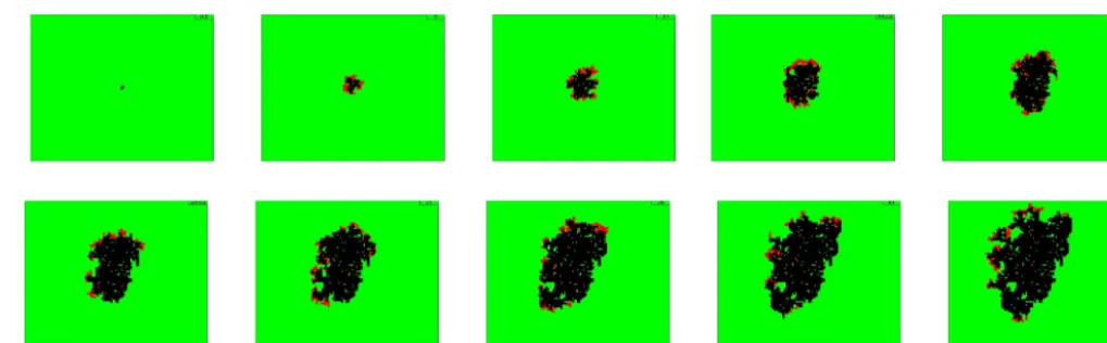 Figure 3. A simulation run of the model ﬁt to the observed data from Figs. 1 and 2. Colour coding is the same as described in Fig