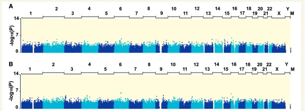 Figure 3 Manhattan plots for genome-wide association-analysis results. �log10 P-values of the logistic regression test (A) and theCochran–Mantel–Haenszel test (B) for quality-control-positive SNPs are plotted against SNP positions on each chromosome.Chromosomes are shown in alternating colours for clarity.