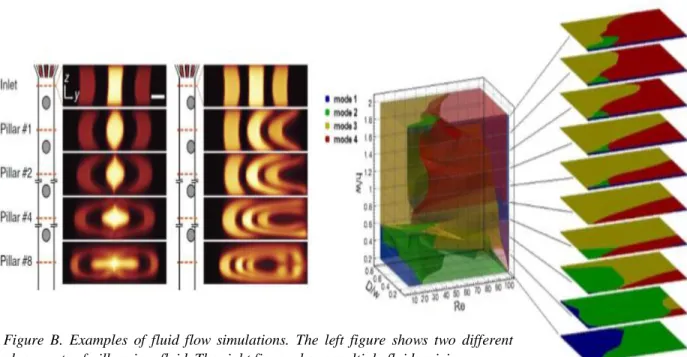 Figure  B.  Examples  of  fluid  flow  simulations.  The  left  figure  shows  two  different  placements of pillars in a fluid