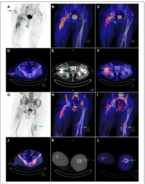 Fig. 2 (See legend on next page.)