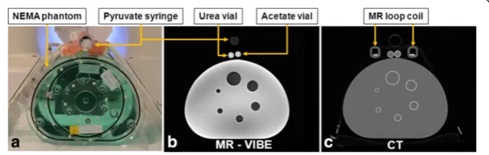 Fig. 1 NEMA phantom setup. a Photo of setup with PET NEMA phantom and pyruvate syringe forhyperpolarized 13C-MRSI marked with arrows