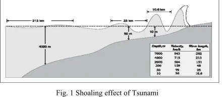 Fig. 1 Shoaling effect of Tsunami 