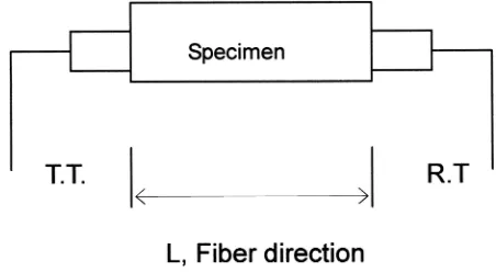Fig. 1. Measurement method for ultrasonic velocity and dynamicmodulus of elasticity of bamboo lamina