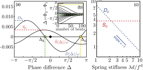 FIG. 4 (color online).Phase oscillator reduction. (a) Couplingfunctions D~ð�Þ and S~ð�Þ for a pair of interacting spheres