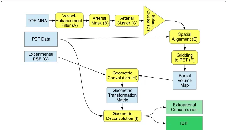 Fig. 1 Flowchart outlining the whole procedure to derive the IDIF. Datasets and intermediate results arecoded in blue, processing steps in yellow, and final results in green
