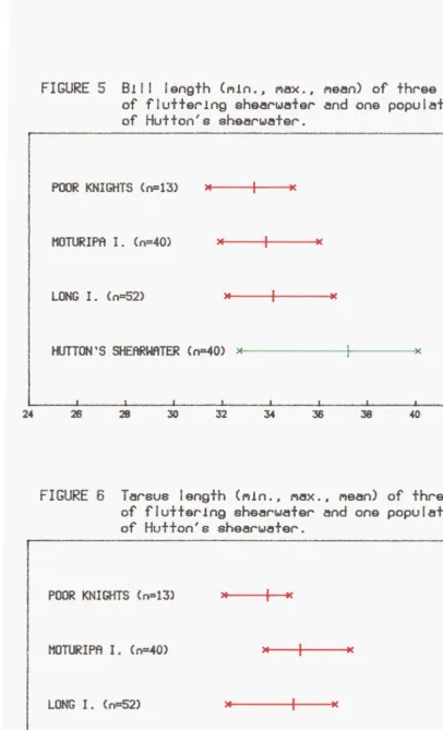 FIGURE 5 B111 length (MIn., Max., Mean) of th~ee populatIons of flutte~lng shea~wate~ and one populatlon 
