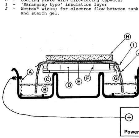 FIGURE 18 Cross-section of starch gel electrophoretic apparatus as used in this study