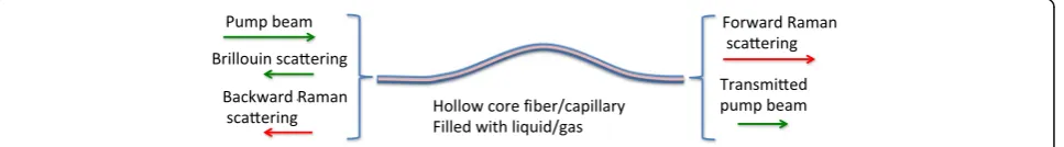 Fig. 1 Scheme of a hollow core fiber wavelength converter