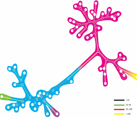 Figure 3-3 A median- joining network constructed from whole mitochondrial genomes. The different coloured lines (black,                                                                                                                                         